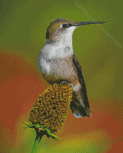 Couple Hummingbird Diamond Painting