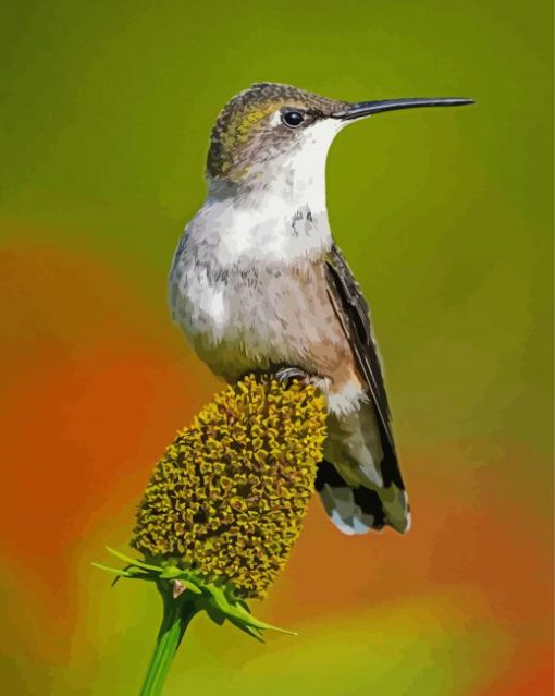 Couple Hummingbird Diamond Painting