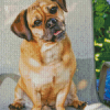 Aesthetic Puggle Diamond Painting