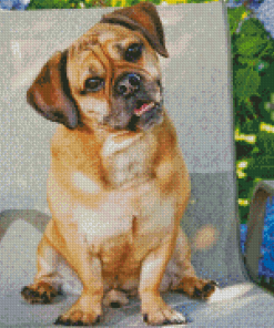 Aesthetic Puggle Diamond Painting