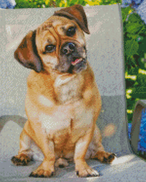 Aesthetic Puggle Diamond Painting