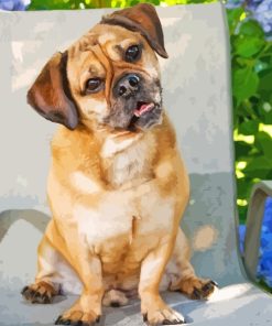 Aesthetic Puggle Diamond Painting