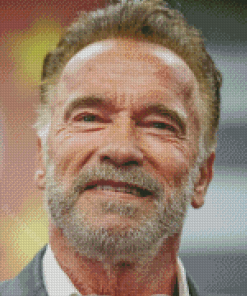 Arnold Schwarzenegger Face Diamond Painting