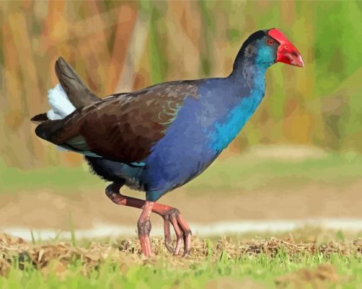 Australasian Swamphen Bird Diamond Painting