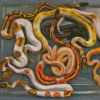 Ball Python Snakes Diamond Painting