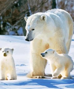 Bear Mother Animals In Snow Diamond Painting