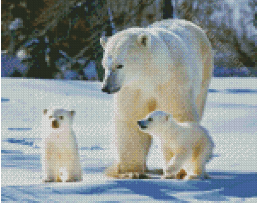 Bear Mother Animals In Snow Diamond Painting