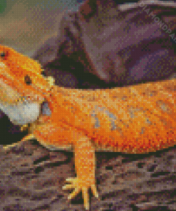 Bearded Dragon Lizard Diamond Painting