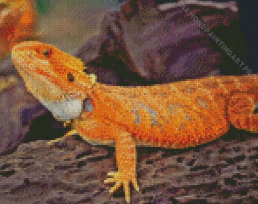 Bearded Dragon Lizard Diamond Painting