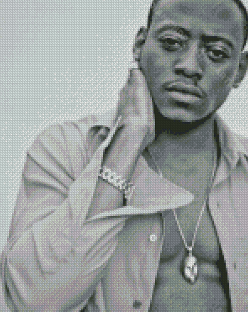 Black And White Omar Epps Diamond Painting