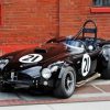 Black Cobra Le Mans Car Diamond Painting