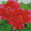 Blooming Red Peonies Diamond Painting