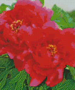 Blooming Red Peonies Diamond Painting