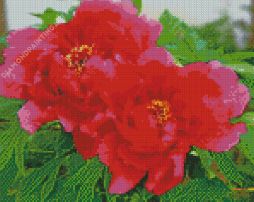 Blooming Red Peonies Diamond Painting