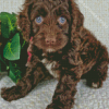 Brown Cockapoo Dog Diamond Painting