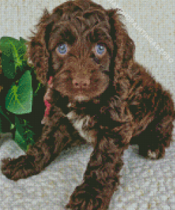 Brown Cockapoo Dog Diamond Painting