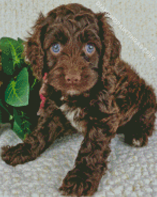 Brown Cockapoo Dog Diamond Painting