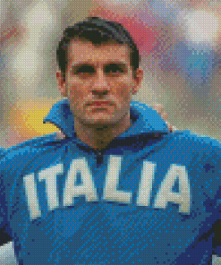 Christian Vieri Footballer Diamond Painting