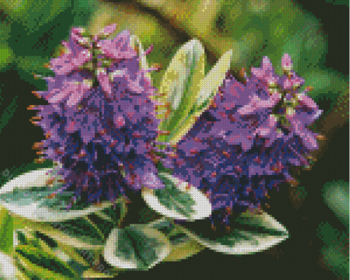 Hebe Flowers Diamond Painting