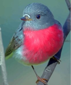 Bird Rose Robin Diamond Painting