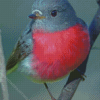 Bird Rose Robin Diamond Painting