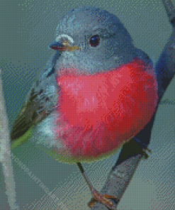 Bird Rose Robin Diamond Painting