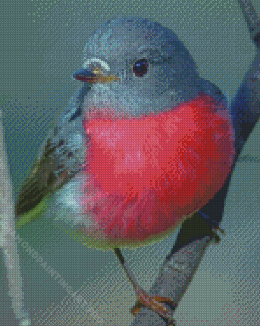 Bird Rose Robin Diamond Painting