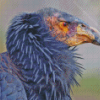 Condor Bird Diamond Painting