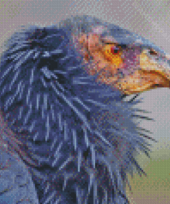 Condor Bird Diamond Painting