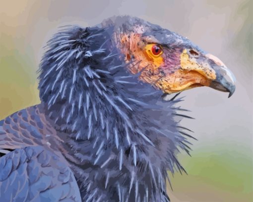 Condor Bird Diamond Painting