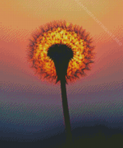 Dandelion Sunset Diamond Painting