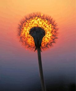 Dandelion Sunset Diamond Painting