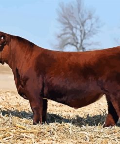 Dark Brown Simmental Cattle Diamond Painting