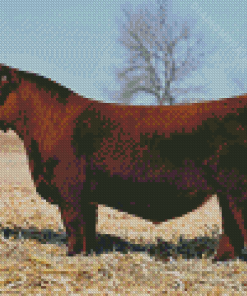 Dark Brown Simmental Cattle Diamond Painting