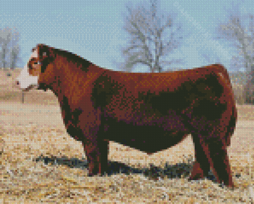 Dark Brown Simmental Cattle Diamond Painting