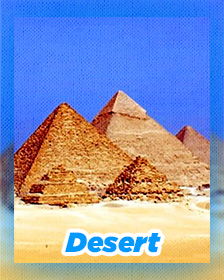 Desert