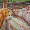 Dog And Pig Diamond Painting