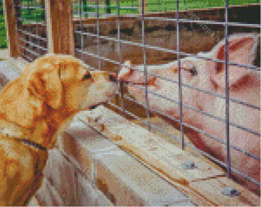 Dog And Pig Diamond Painting