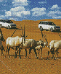 Dubai Desert Oryx Animals Diamond Painting