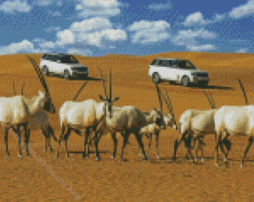 Dubai Desert Oryx Animals Diamond Painting