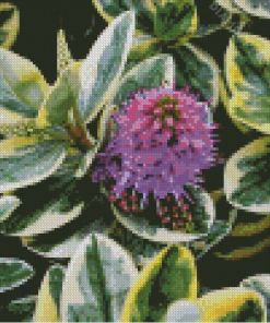 Hebe Plant Art Diamond Painting