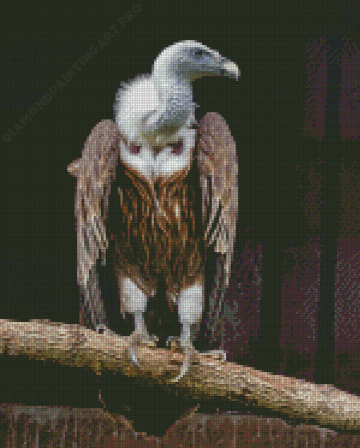 Himalayan Vulture Diamond Painting