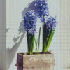 Hyacinth In Plant Pot Diamond Painting