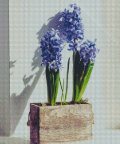 Hyacinth In Plant Pot Diamond Painting