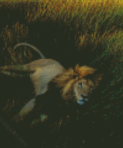 Lion In The Grass Diamond Painting