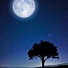 Moon Light Tree Silhouette Diamond Painting