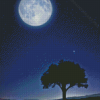 Moon Light Tree Silhouette Diamond Painting