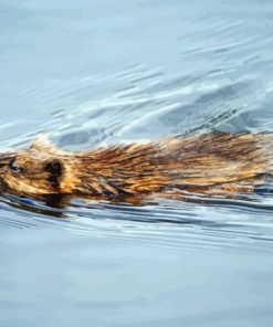 Muskrat Swimming In Water Diamond Painting