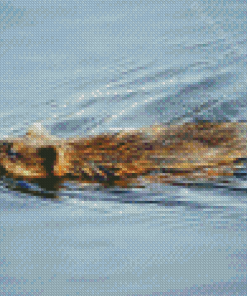 Muskrat Swimming In Water Diamond Painting