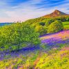 North York Moors National Park Rosberry Diamond Painting